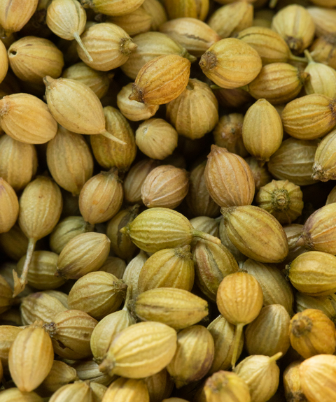 Nilgiri Farms Ground Coriander