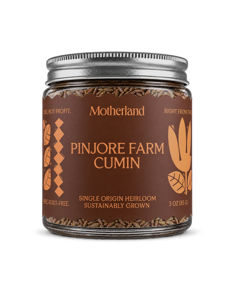 Pinjore Farm Cumin