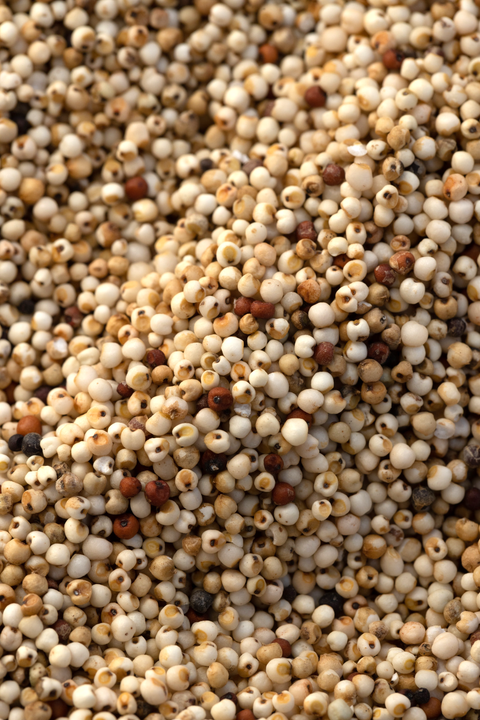 Nutrient Rich Millets